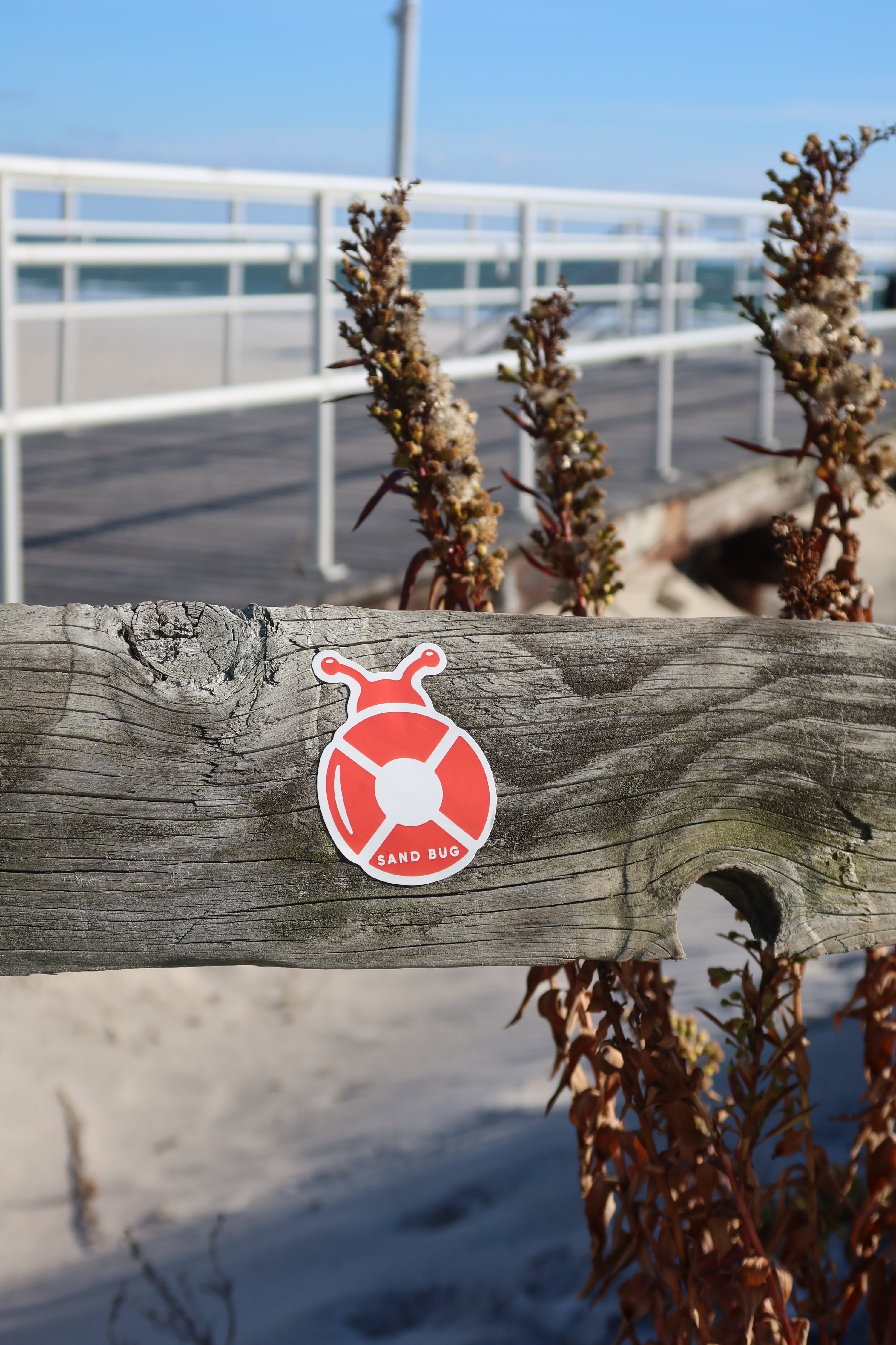 Sand Bug Sticker